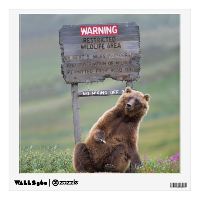 Grizzly Bear Plays With Sign Wall Decal (Front)