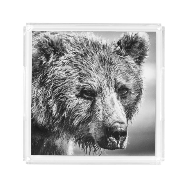 Grizzly bear portrait acrylic tray (Front)
