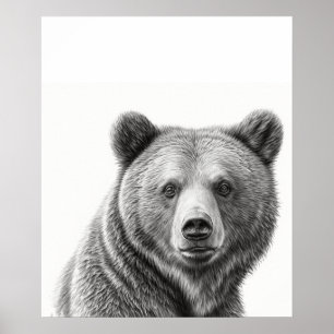 Grizzly Bear Portrait Black white Poster