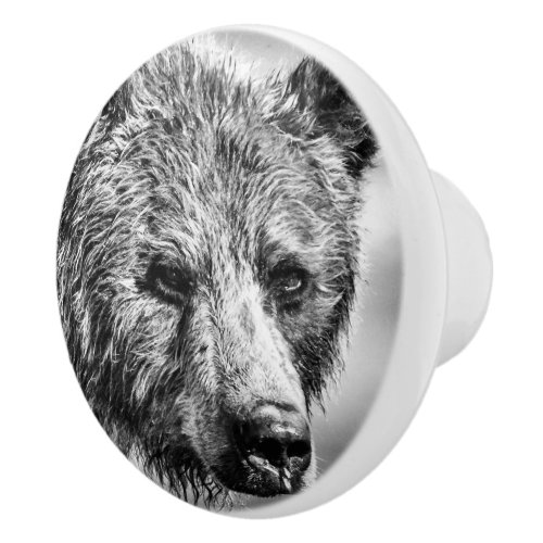 Grizzly bear portrait ceramic knob