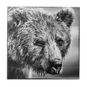 Grizzly bear portrait ceramic tile