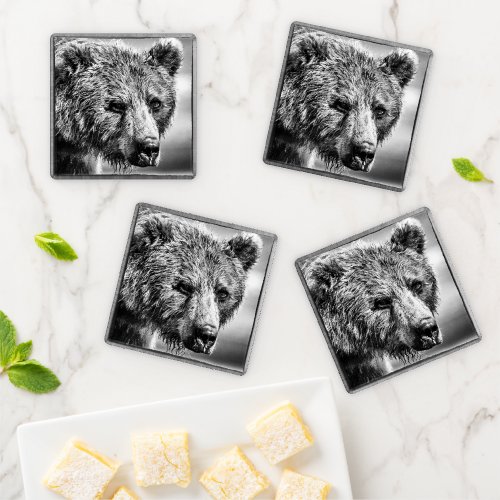 Grizzly bear portrait coaster set