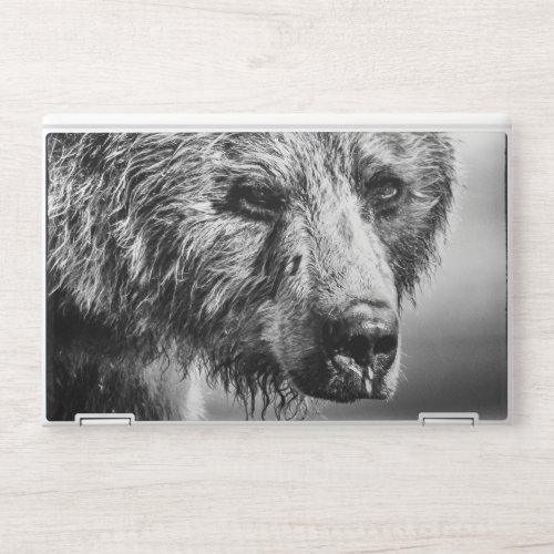 Grizzly bear portrait HP laptop skin
