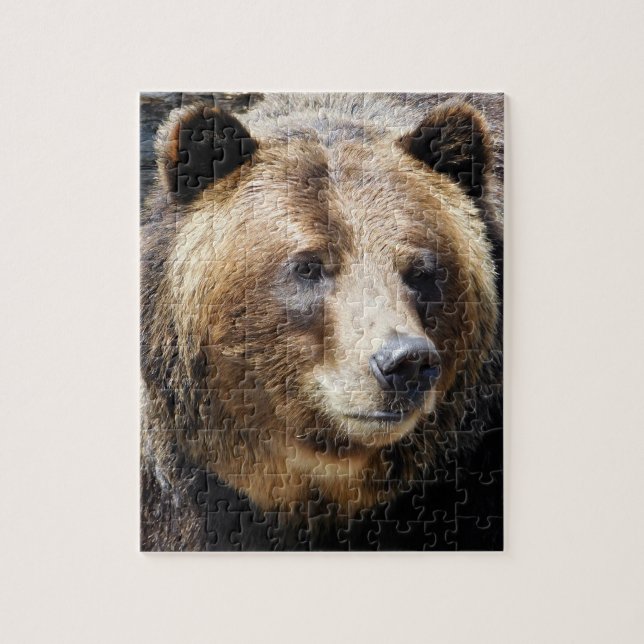 Grizzly Bear Portrait Jigsaw Puzzle (Vertical)