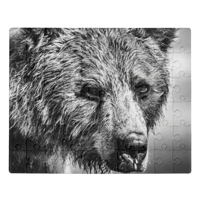 Grizzly bear portrait jigsaw puzzle (Puzzle Horizontal)