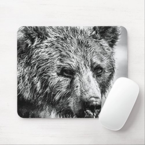 Grizzly bear portrait mouse pad