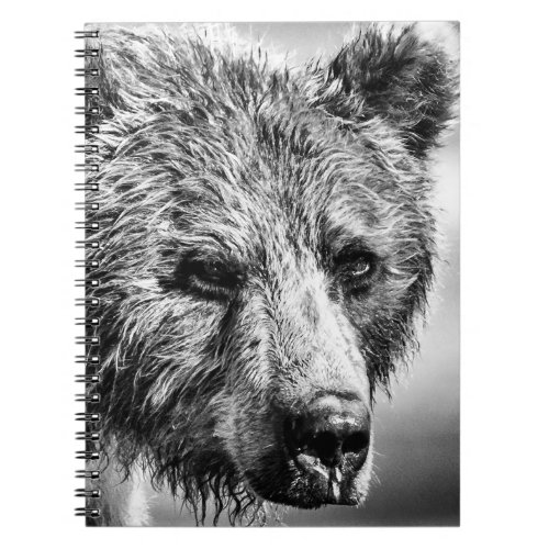 Grizzly bear portrait notebook