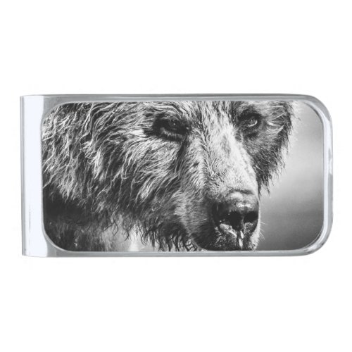 Grizzly bear portrait silver finish money clip