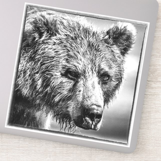 Grizzly bear portrait sticker (Detail)
