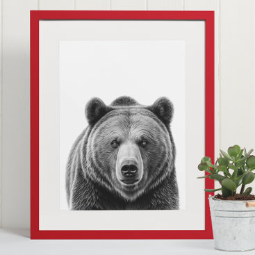 Grizzly Bear Portrait  Woodland Black white  Poster