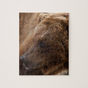 Grizzly Bear Puzzle