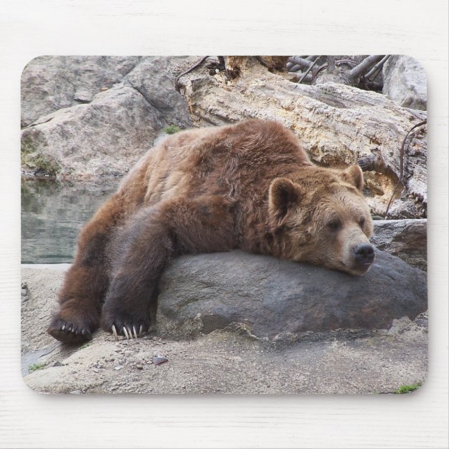 Grizzly Bear Resting On Rock Mouse Pad (Front)