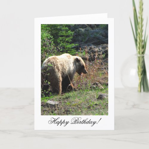 Grizzly Bear Smile Happy Birthday Card