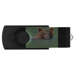 Grizzly Bear Swimming USB Flash Drive