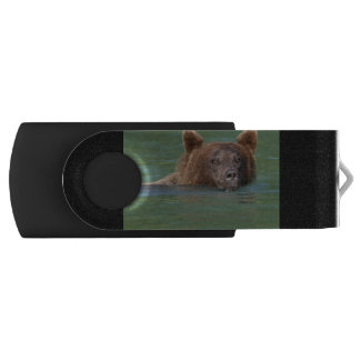Grizzly Bear Swimming USB Flash Drive