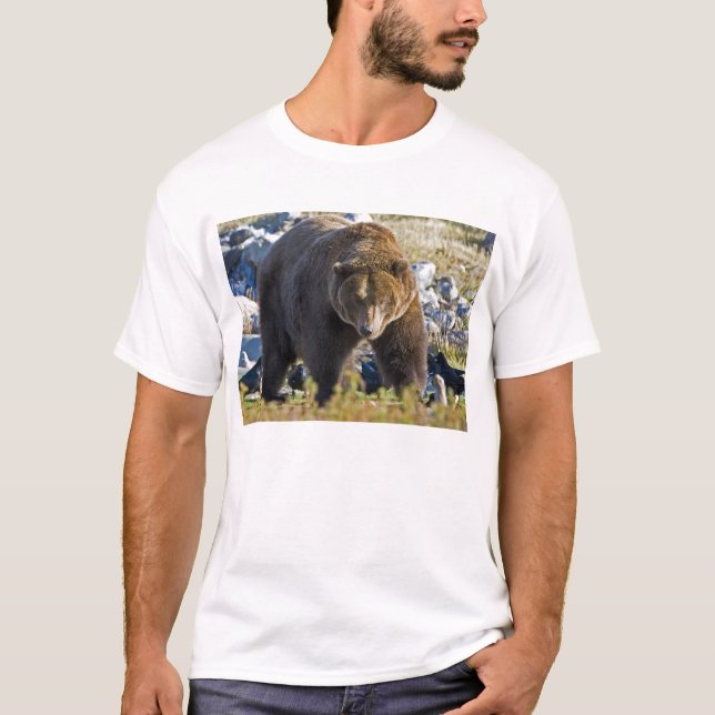 Grizzly Bear T-Shirt (Front)