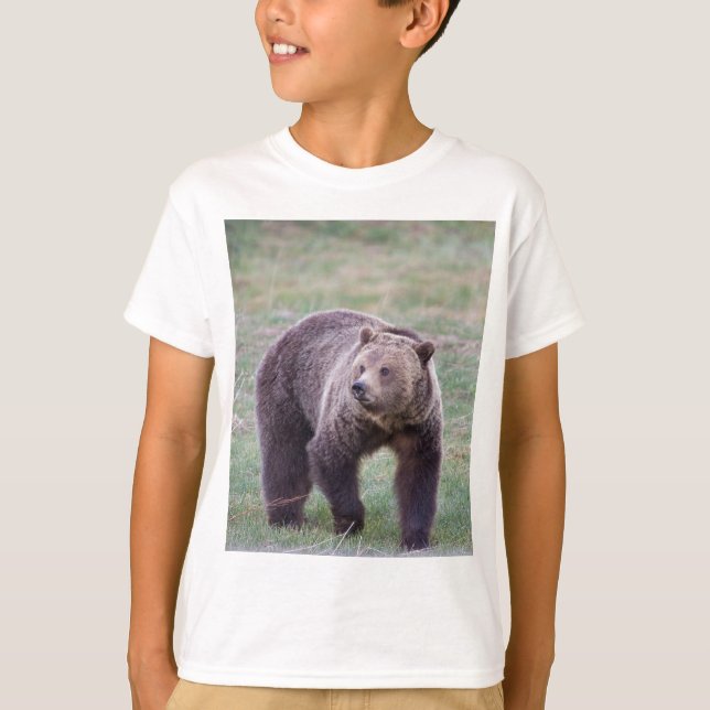 Grizzly bear T-Shirt (Front)