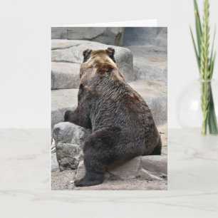 Grizzly Bear thinking of you Card