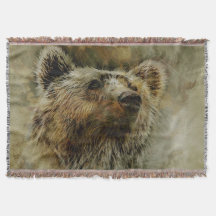 Grizzly Bear