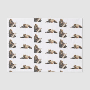 grizzly bear Tissue Paper