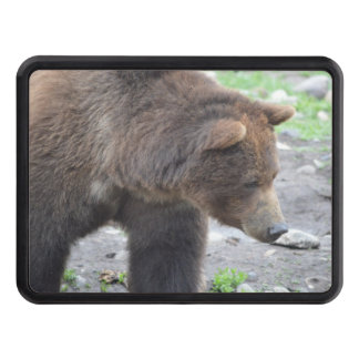 Grizzly Bear Trailer Hitch Cover