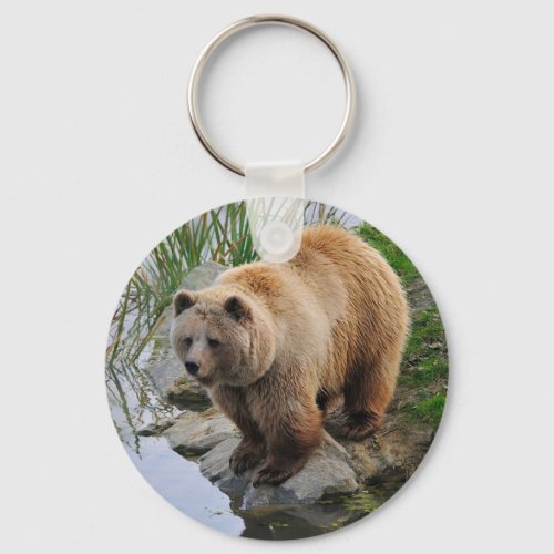 Grizzly Bear Wildlife Animal Photograph Keychain