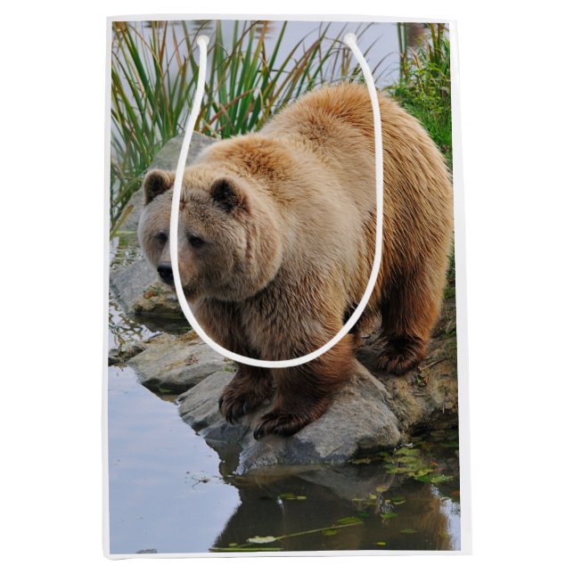 Grizzly Bear Wildlife Animal Photograph Medium Gift Bag (Front)