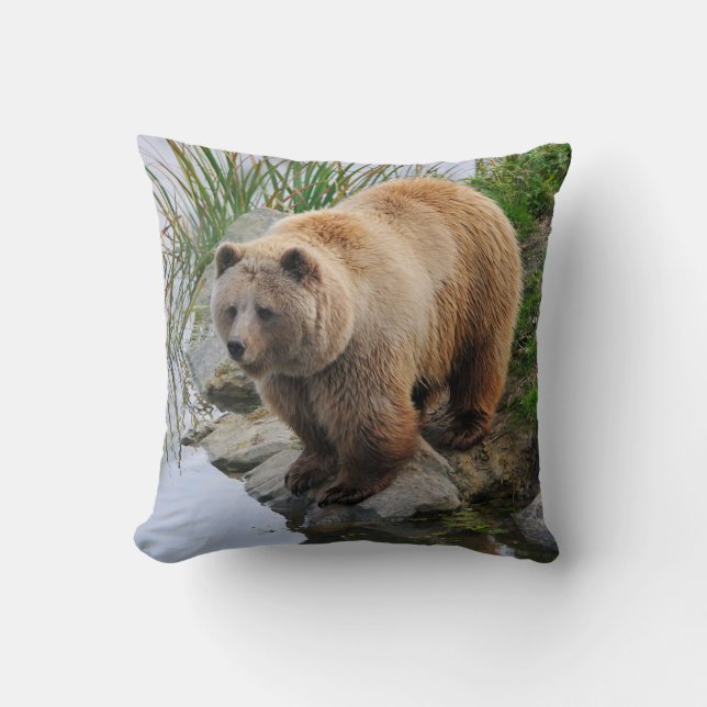 Grizzly Bear Wildlife Animal Photograph Throw Pillow (Front)