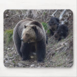 Grizzly Bear With Cubs Mousepad at Zazzle