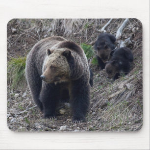 Grizzly Bear with Cubs Mousepad