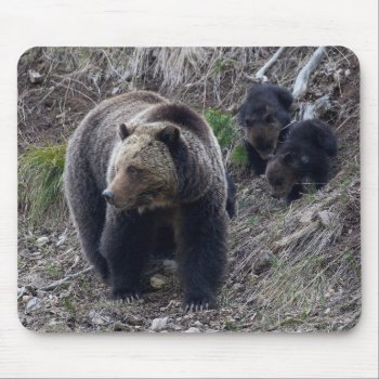 Grizzly Bear With Cubs Mousepad by Aquanauts at Zazzle