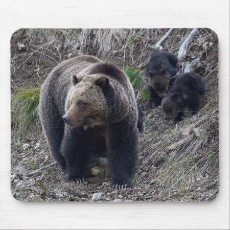 Grizzly Bear With Cubs Mousepad