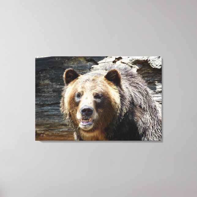 Grizzly Bear Wrapped Canvas Print (Front)
