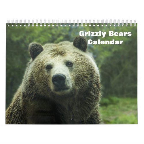 Grizzly Bears 2024 Calendar