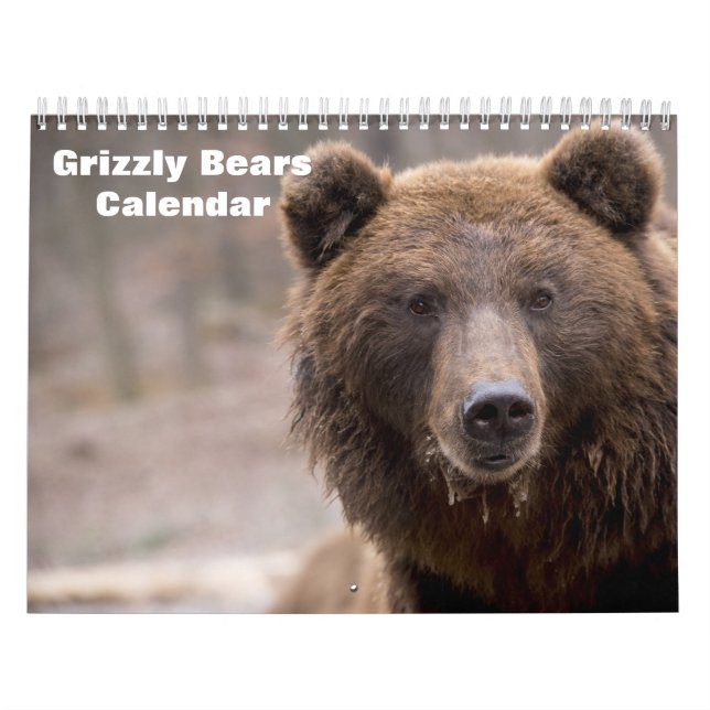 Grizzly Bears 2025 Calendar (Cover)