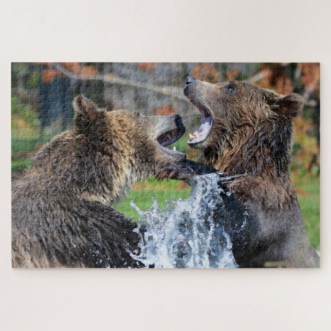 Grizzly Bears Fighting Jigsaw Puzzle (Horizontal)