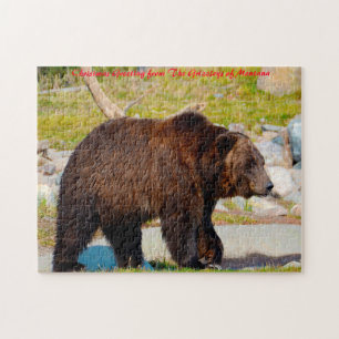 Grizzly Bears Montana. Christmas Greeting Jigsaw Puzzle
