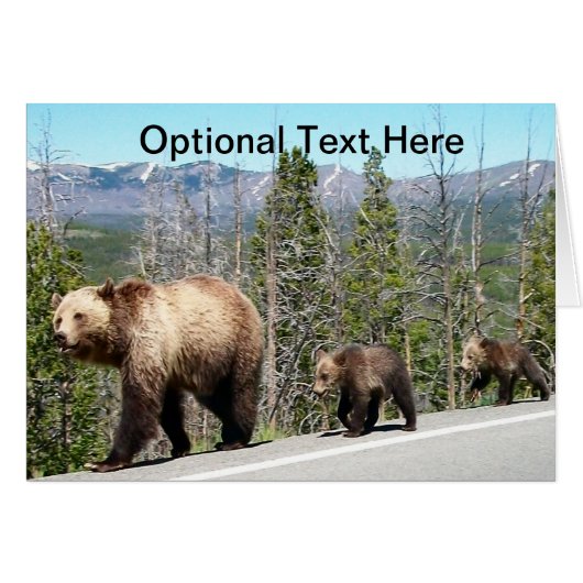 Grizzly Bears of Yellowstone Cards (Front Horizontal)