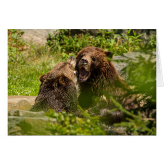 Grizzly Bears Play Fighting Cards