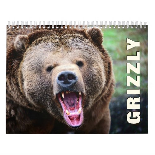 Grizzly Bears Wall Calendar