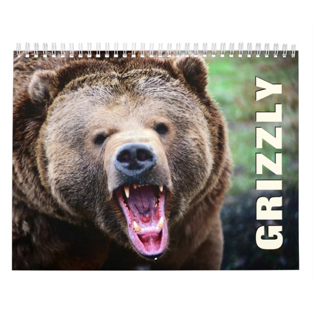Grizzly Bears Wall Calendar (Cover)