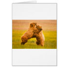 Grizzly Bears Wrestling