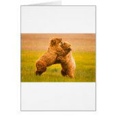 Grizzly Bears Wrestling (Front)