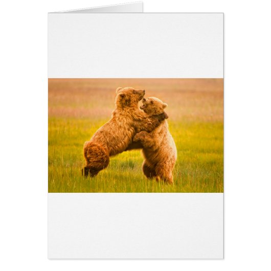 Grizzly Bears Wrestling Cards (Front)