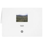 Grizzly Butts Cards (Back Horizontal)