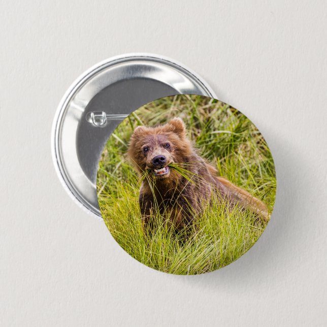 Grizzly cub grazing, Alaska Button (Front & Back)
