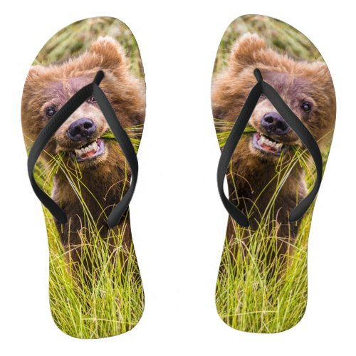 Grizzly cub grazing Alaska Flip Flops