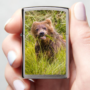 Grizzly cub grazing, Alaska Zippo Lighter