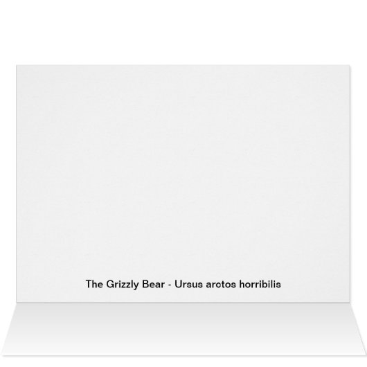 Grizzly Pond (Inside Horizontal (Top))