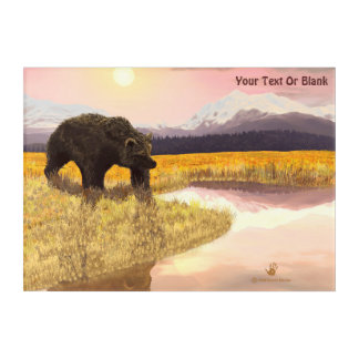 Grizzly Pond Acrylic Print